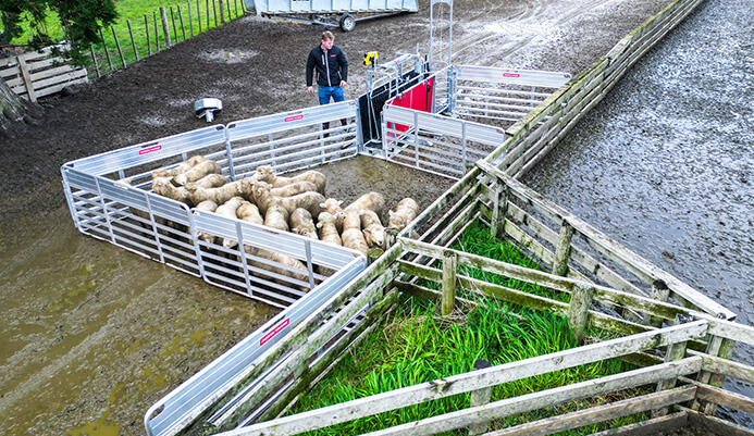 Porta Yard In Use