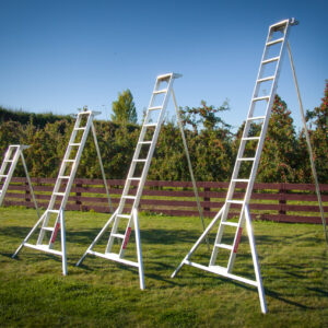 Allite Ladders